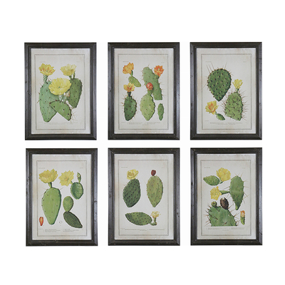6 Sets Vintage Style Framed Flower Wall Art