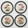  Farmhouse living Room Decor Light luxury Retro Mushroom Painting Wall Art for Home Decor Mushroom Aesthetic Hanging Wall Art