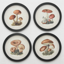  Farmhouse living Room Decor Light luxury Retro Mushroom Painting Wall Art for Home Decor Mushroom Aesthetic Hanging Wall Art