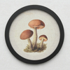  Farmhouse living Room Decor Light luxury Retro Mushroom Painting Wall Art for Home Decor Mushroom Aesthetic Hanging Wall Art