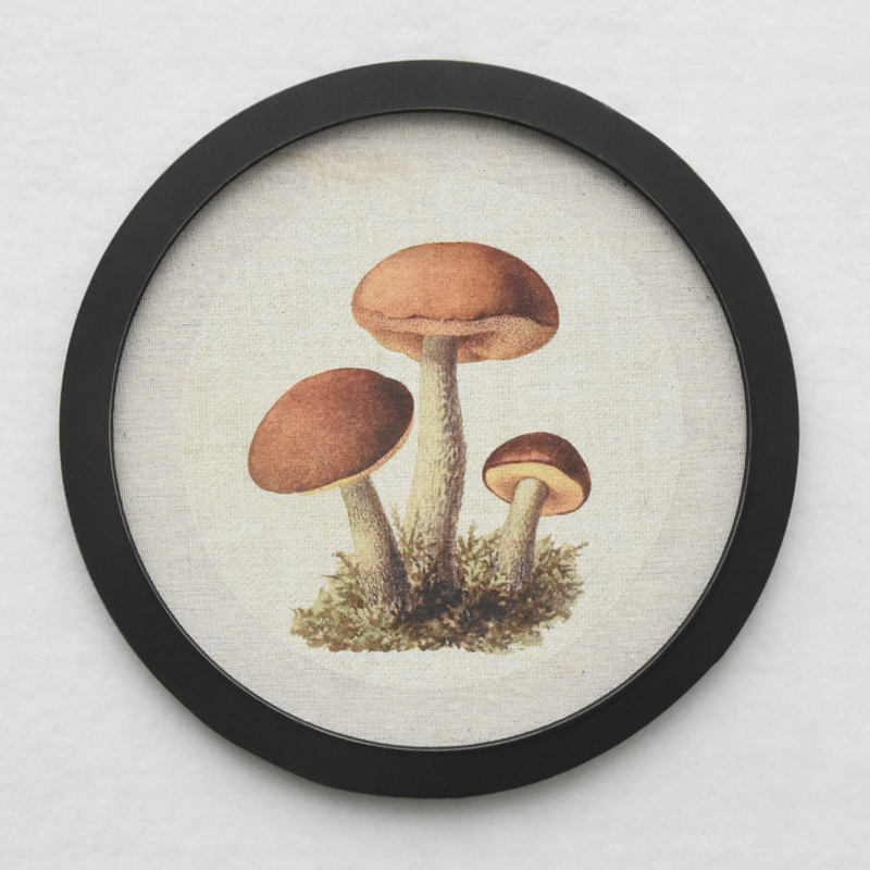  Farmhouse living Room Decor Light luxury Retro Mushroom Painting Wall Art for Home Decor Mushroom Aesthetic Hanging Wall Art