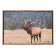 Framed Vintage Wall Art Classical Canvas Paintings Deer Animal Savanna Canvas Wall Art Prints For Bedroom Living Room Wall Decor